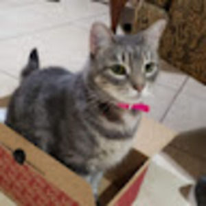 Meet your Posher, Christian